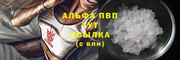 шишки Абинск