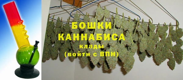 шишки Абдулино