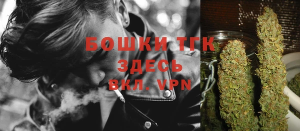 спайс Алексин