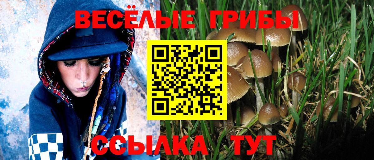 Псилоцибиновые грибы Psilocybe  Вход с VPN  Нижнекамск  Галлюциногенные грибы Magic Shrooms 