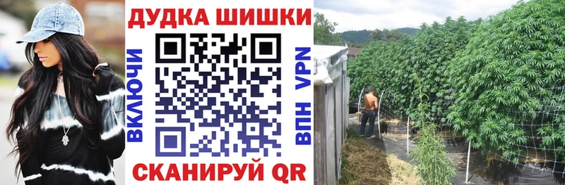 Конопля сатива  купить закладку  блэк спрут онион  Нижнекамск 